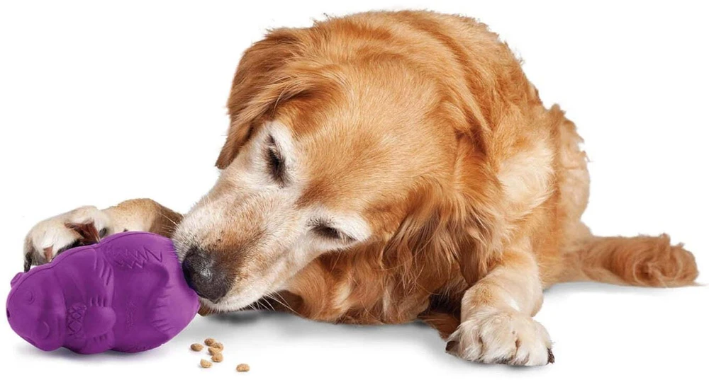 PetSafe Busy Buddy Squirrel Dude – Tvirtas šunų smaguris kramtomasis žaislas, mažas dydis, įtraukiantis dizainas
