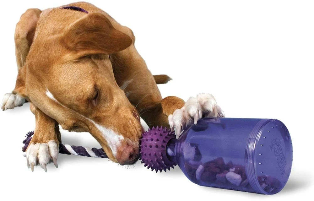 PetSafe Busy Buddy Tug-A-Jug interaktyvus buteliuko formos žaislas – itin mažas, patvarus