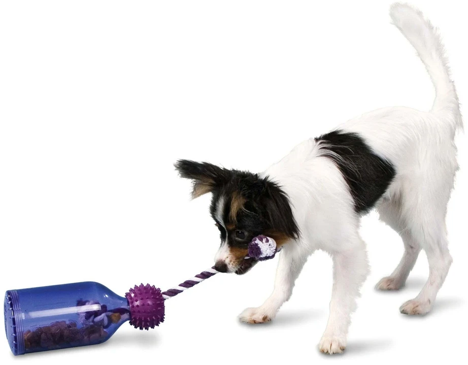 PetSafe Busy Buddy Tug-A-Jug interaktyvus buteliuko formos žaislas – itin mažas, patvarus