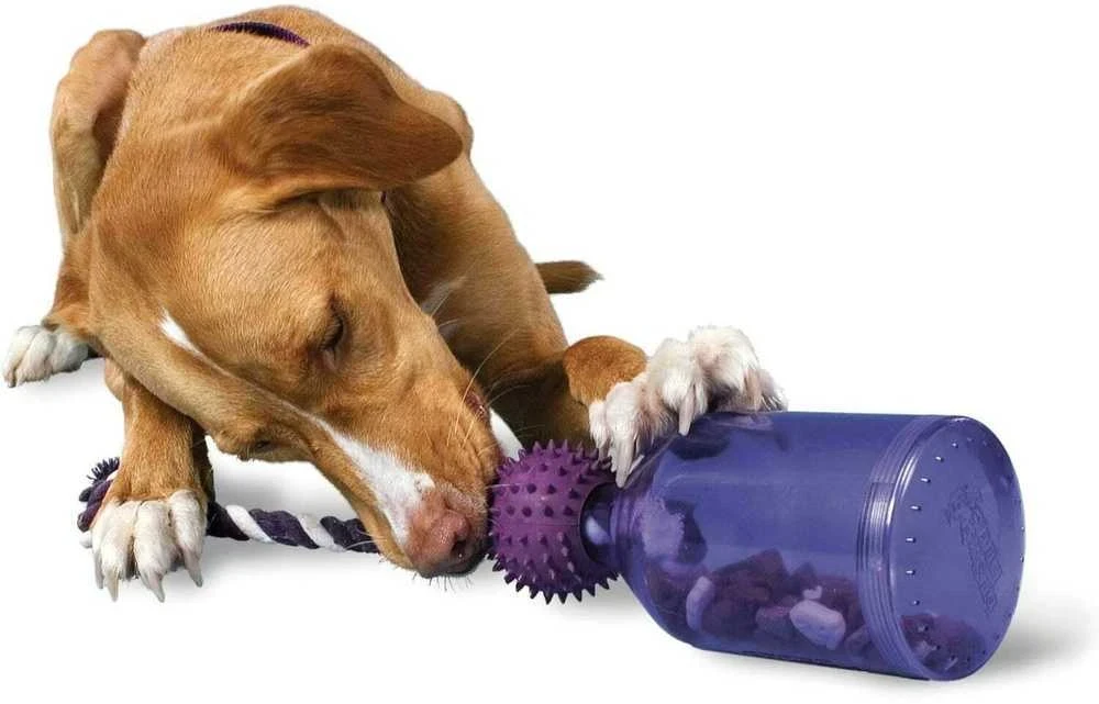 PetSafe Busy Buddy Tug-A-Jug interaktyvus buteliuko formos žaislas – itin mažas, patvarus