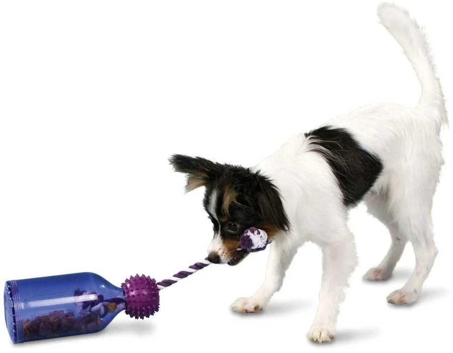 PetSafe Busy Buddy Tug-A-Jug interaktyvus buteliuko formos žaislas – itin mažas, patvarus