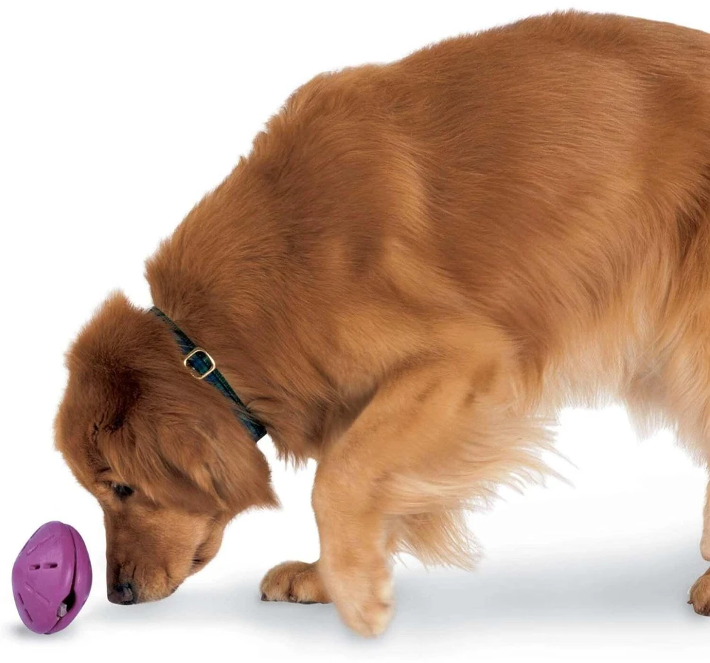 „PetSafe“ Busy Buddy Twist'n Treat šunų kramtomasis žaislas – didelis, reguliuojamas skanėstų dozatorius, patvarus dizainas