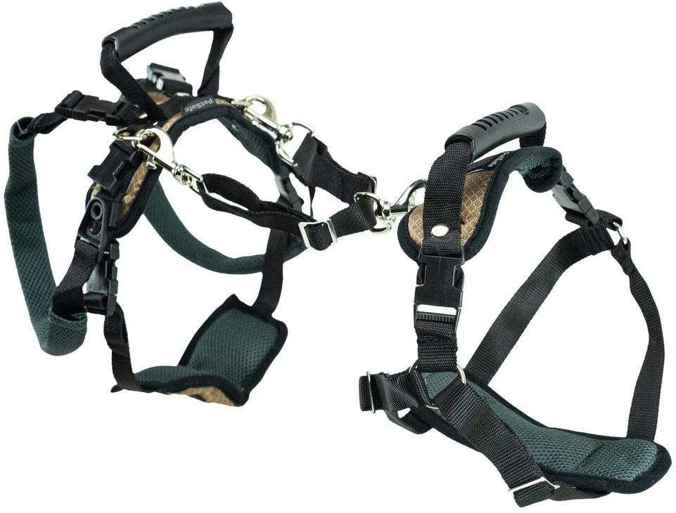 PetSafe CareLift atrampas atbalsta – vidēja izmēra, ergonomisks pacelšanas palīglīdzeklis lielām šķirnēm