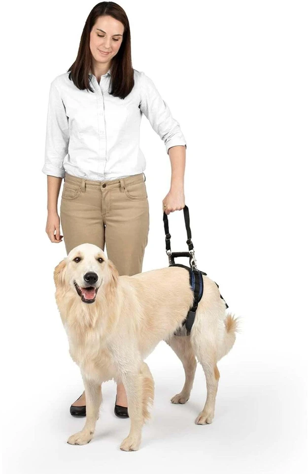 PetSafe CareLift galinė atraminė petneša – vidutinio dydžio, ergonomiškas klubų reabilitacijos dizainas