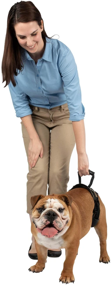 PetSafe CareLift galinė atraminė petneša – vidutinio dydžio, ergonomiškas klubų reabilitacijos dizainas