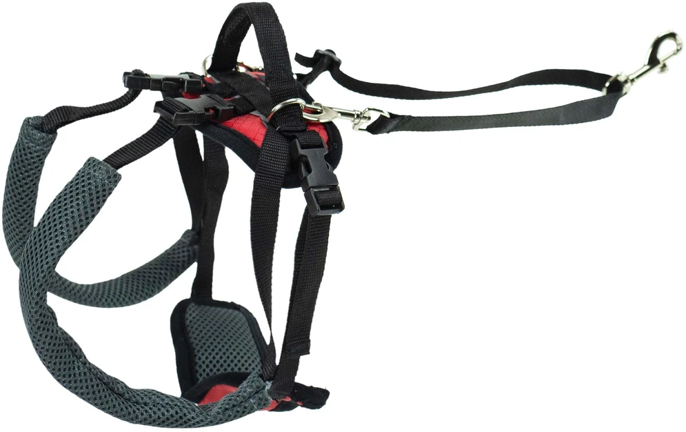 PetSafe CareLift galinė atraminė petneša – vidutinio dydžio, ergonomiškas klubų reabilitacijos dizainas