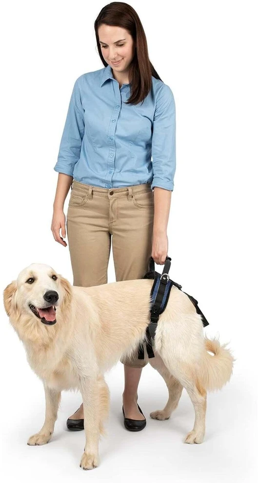PetSafe CareLift galinė atraminė petneša – vidutinio dydžio, ergonomiškas klubų reabilitacijos dizainas