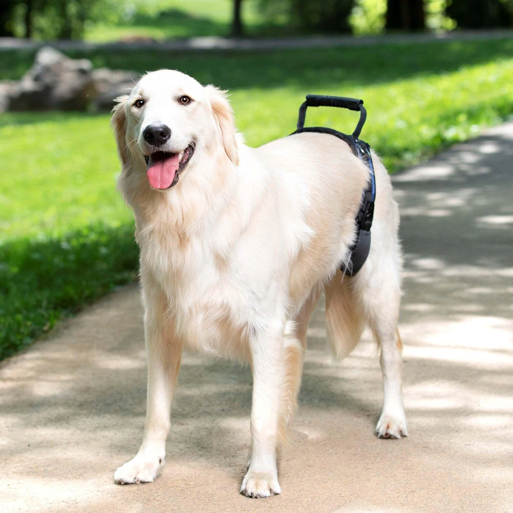 PetSafe CareLift galinė atraminė petneša – vidutinio dydžio, ergonomiškas klubų reabilitacijos dizainas