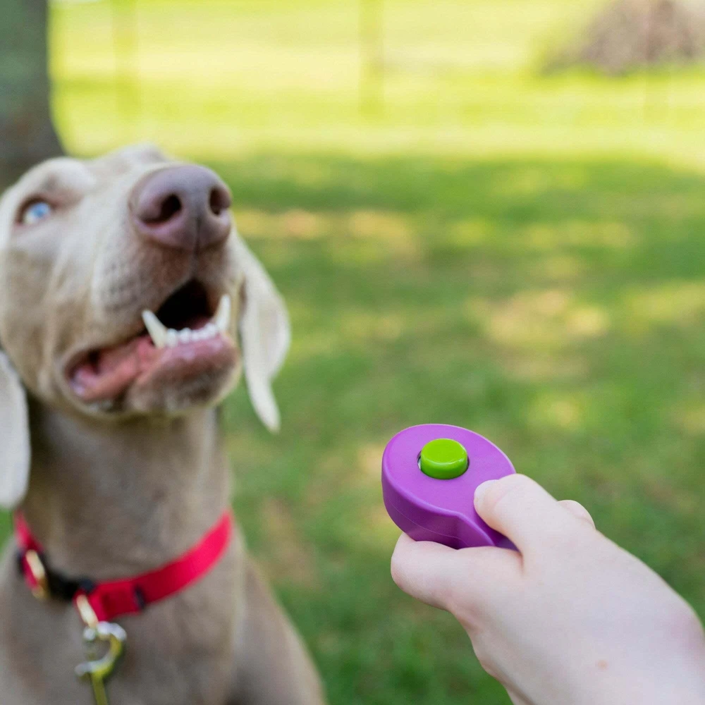 Petsafe Clik-R™ Clicker Training Tool klikeris
