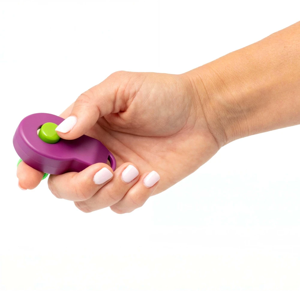 Petsafe Clik-R™ Clicker Training Tool klikeris
