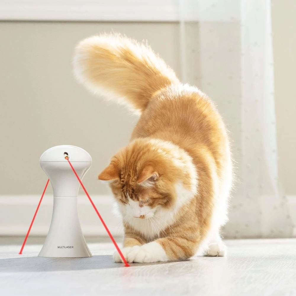 Petsafe FroliCat Multi-lazerinis - automatinis lazerinis žaislas augintiniams (katėms ir šunims)