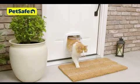 PetSafe Didžiojo katino atvartas – didelės durys augintiniams su saugiu užraktu, palaiko iki 11 kg svorį