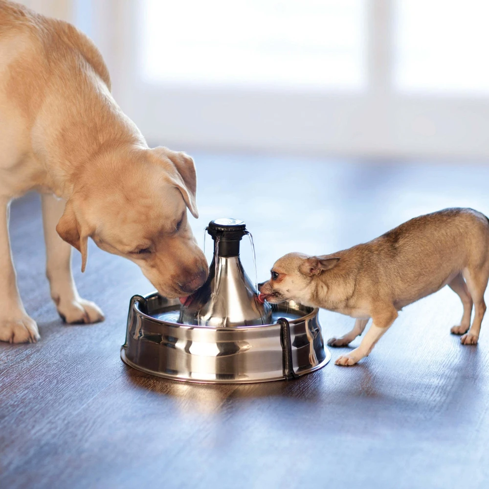 Petsafe Drinkwell 360 nerūdijančio plieno girdykla - fontanas