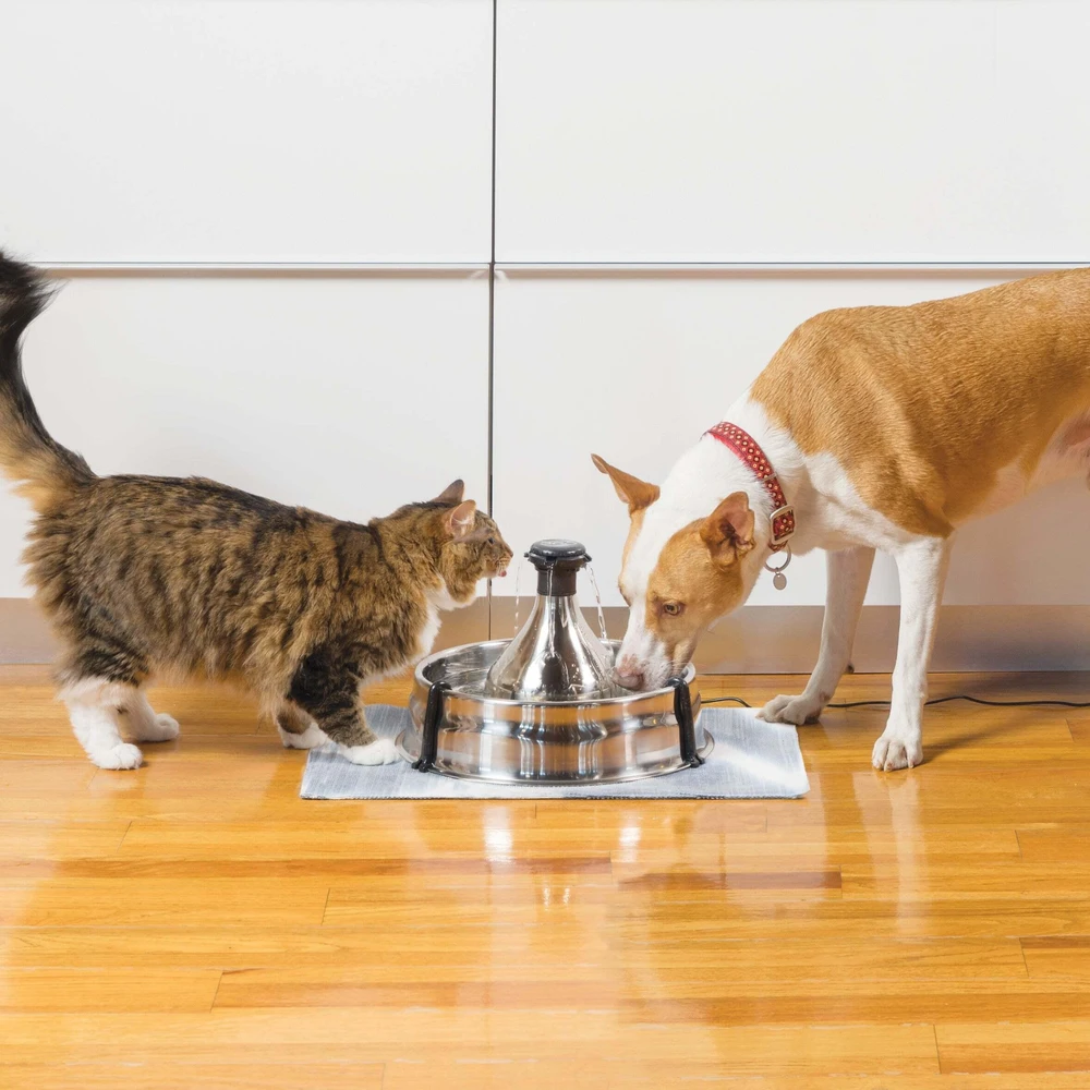 Petsafe Drinkwell 360 nerūdijančio plieno girdykla - fontanas