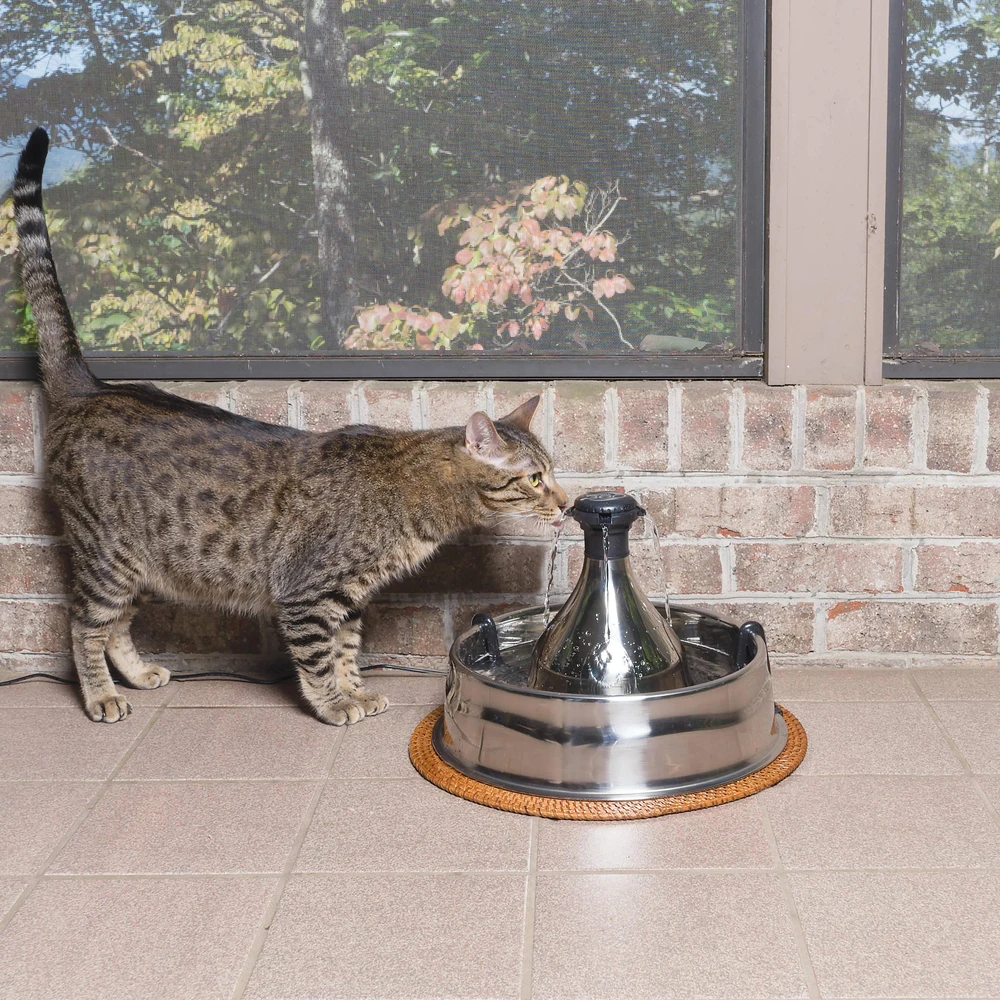 Petsafe Drinkwell 360 nerūdijančio plieno girdykla - fontanas