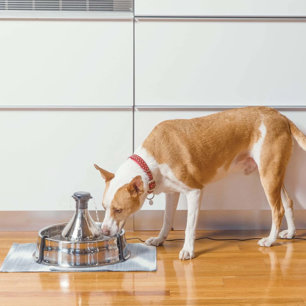 Petsafe Drinkwell 360 nerūdijančio plieno girdykla - fontanas