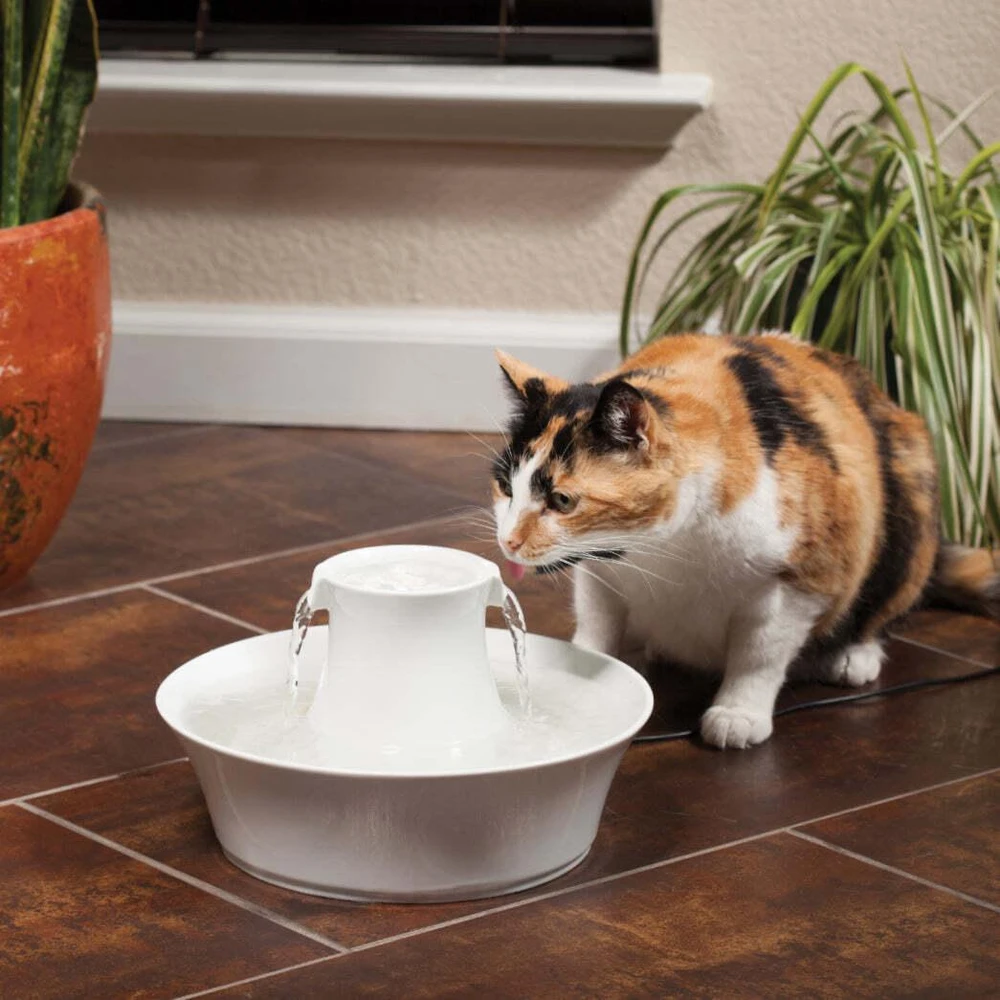 PetSafe Drinkwell Avalon fontanėlis girdykla šunims ir katėms 2L