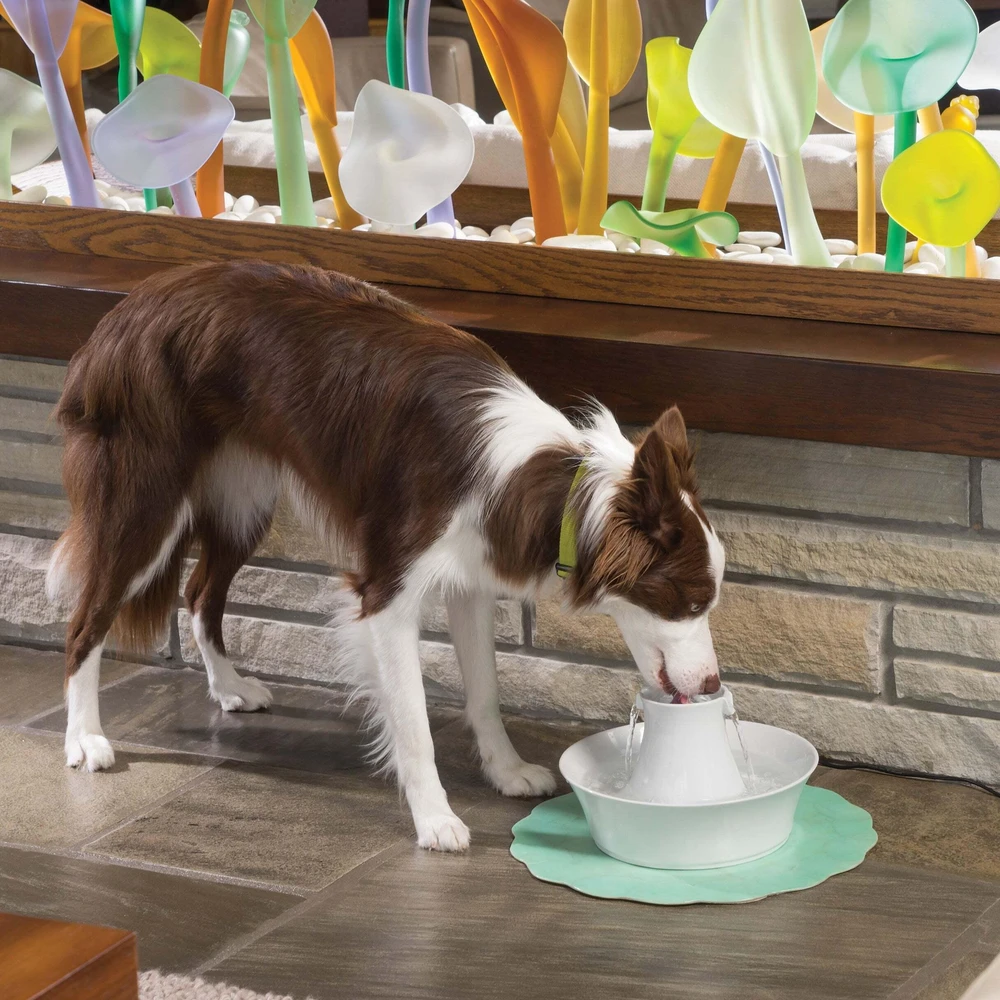 PetSafe Drinkwell Avalon fontanėlis girdykla šunims ir katėms 2L