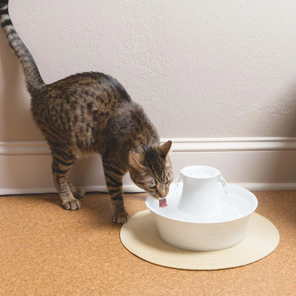 PetSafe Drinkwell Avalon fontanėlis girdykla šunims ir katėms 2L