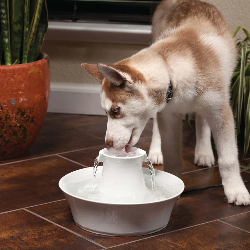 PetSafe Drinkwell Avalon fontanėlis girdykla šunims ir katėms 2L
