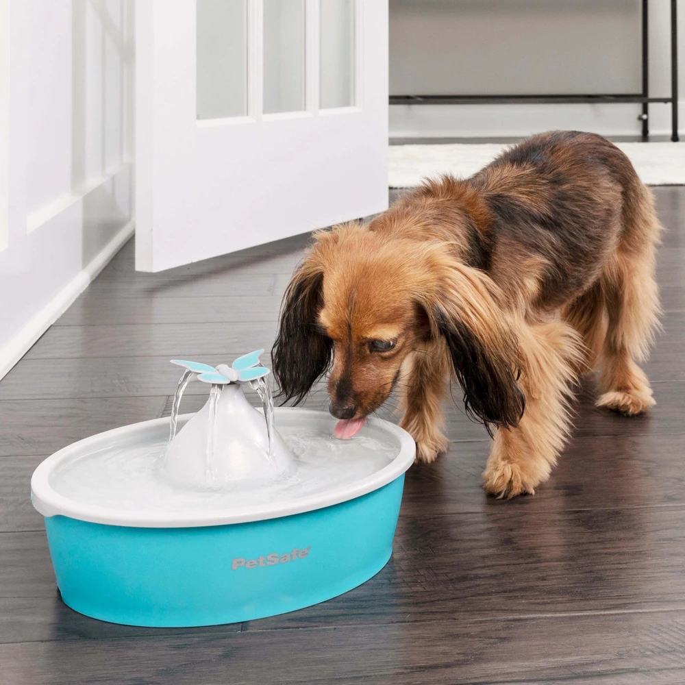 PetSafe Drinkwell Original vandens talpos girdykla - fontanas- DRUGELIS skirta mažiems bei vidutinio dydžio šunims ir katėms girdyti