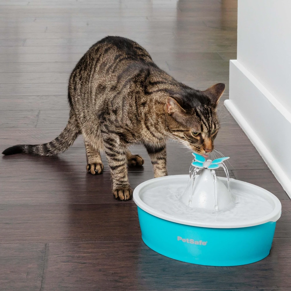 PetSafe Drinkwell Original vandens talpos girdykla - fontanas- DRUGELIS skirta mažiems bei vidutinio dydžio šunims ir katėms girdyti