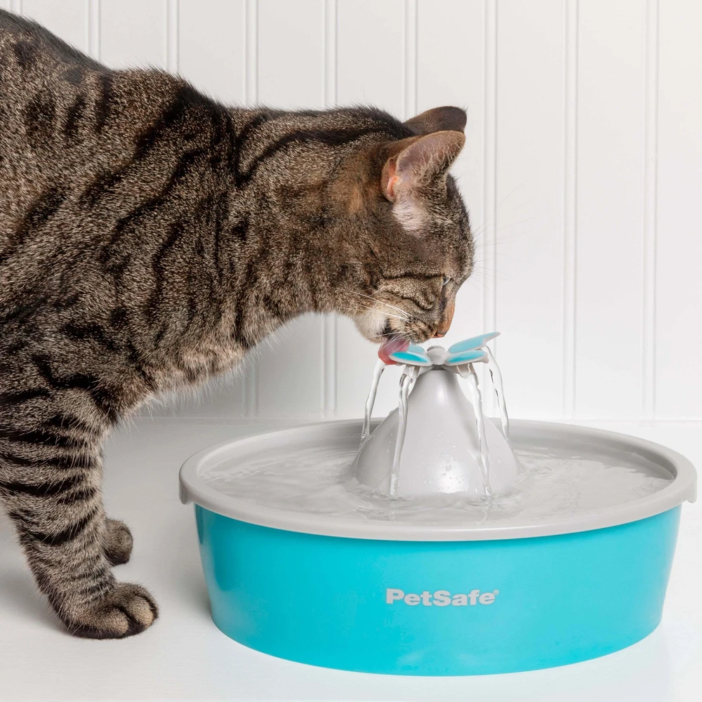 PetSafe Drinkwell Original vandens talpos girdykla - fontanas- DRUGELIS skirta mažiems bei vidutinio dydžio šunims ir katėms girdyti
