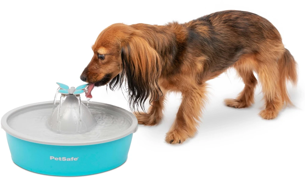 PetSafe Drinkwell Original vandens talpos girdykla - fontanas- DRUGELIS skirta mažiems bei vidutinio dydžio šunims ir katėms girdyti