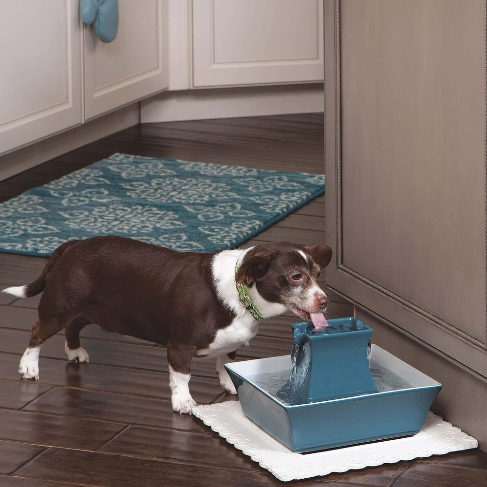 PetSafe Drinkwell Pagoda Mėlynas fontanėlis girdykla šunims ir katėms 2L