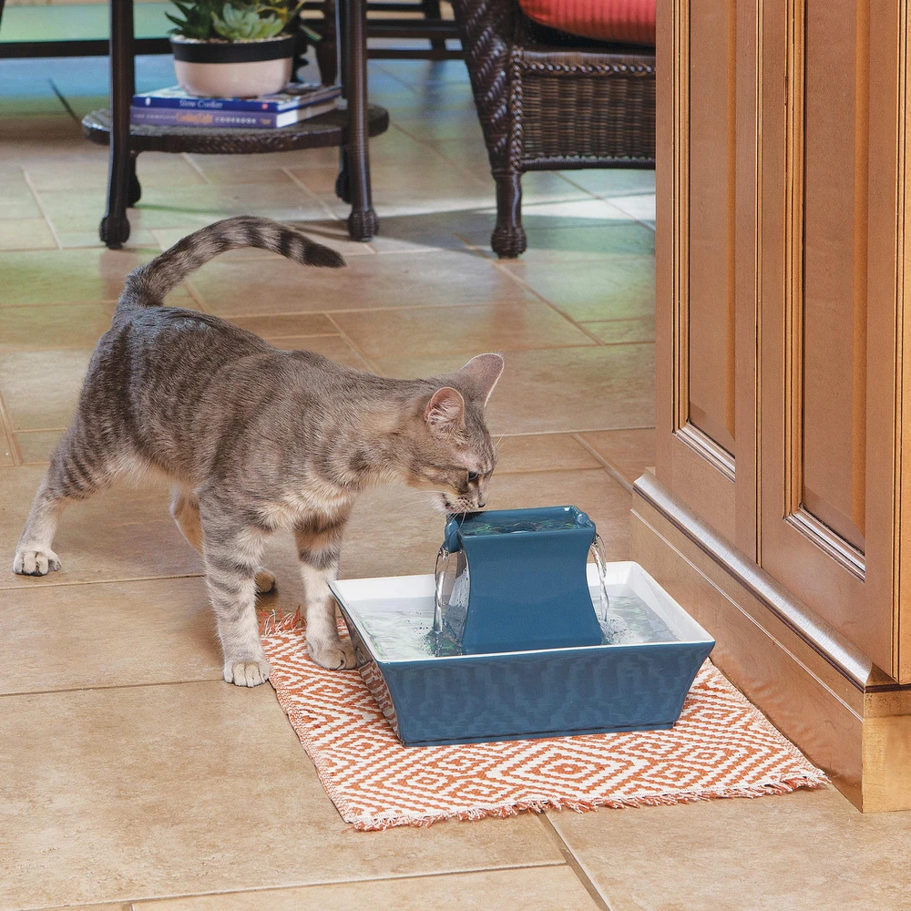 PetSafe Drinkwell Pagoda Mėlynas fontanėlis girdykla šunims ir katėms 2L
