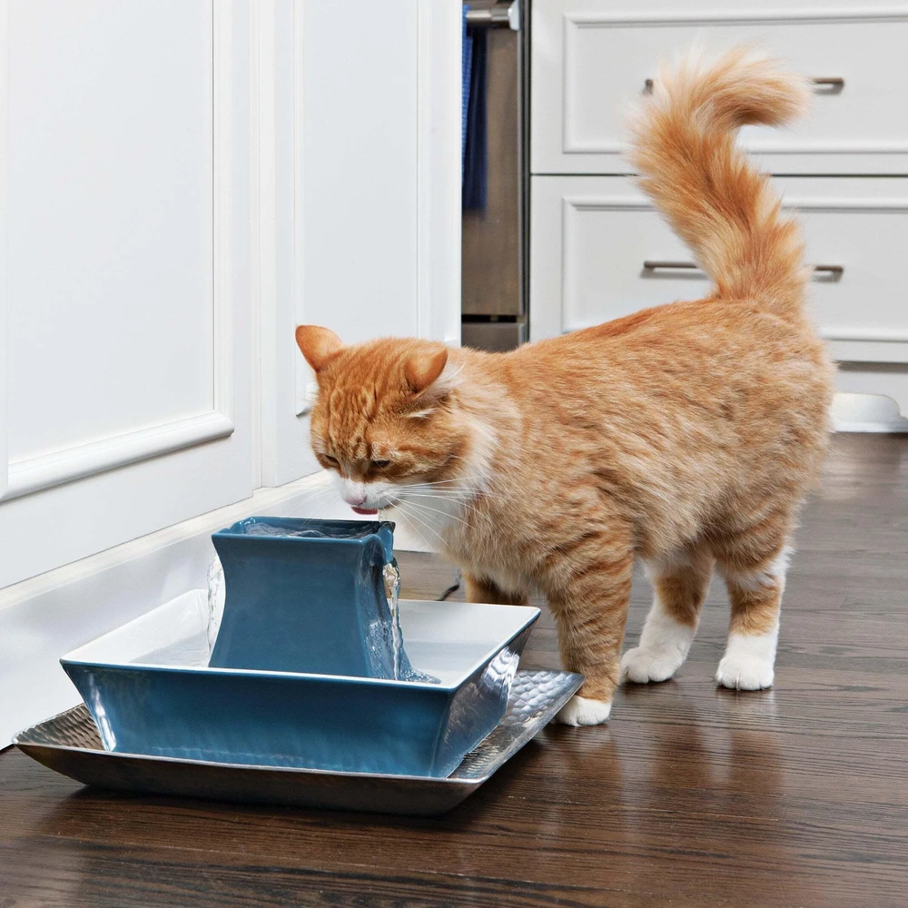 PetSafe Drinkwell Pagoda Mėlynas fontanėlis girdykla šunims ir katėms 2L