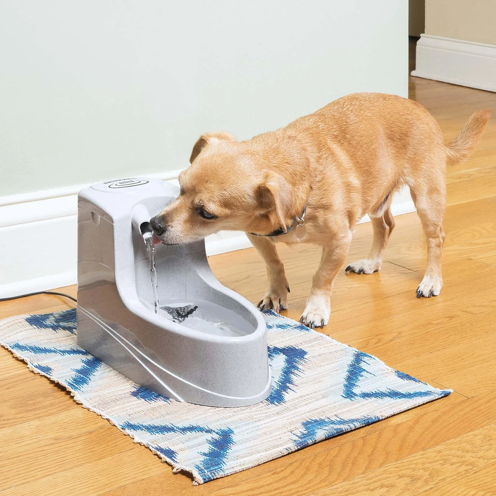PetSafe Drinkwell Mini girdykla - fontanas 1.2L