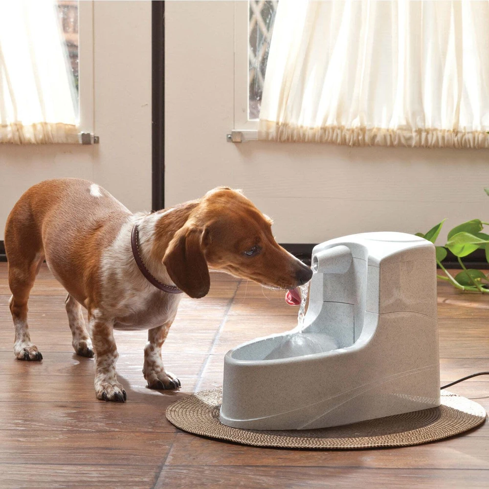 PetSafe Drinkwell Mini girdykla - fontanas 1.2L