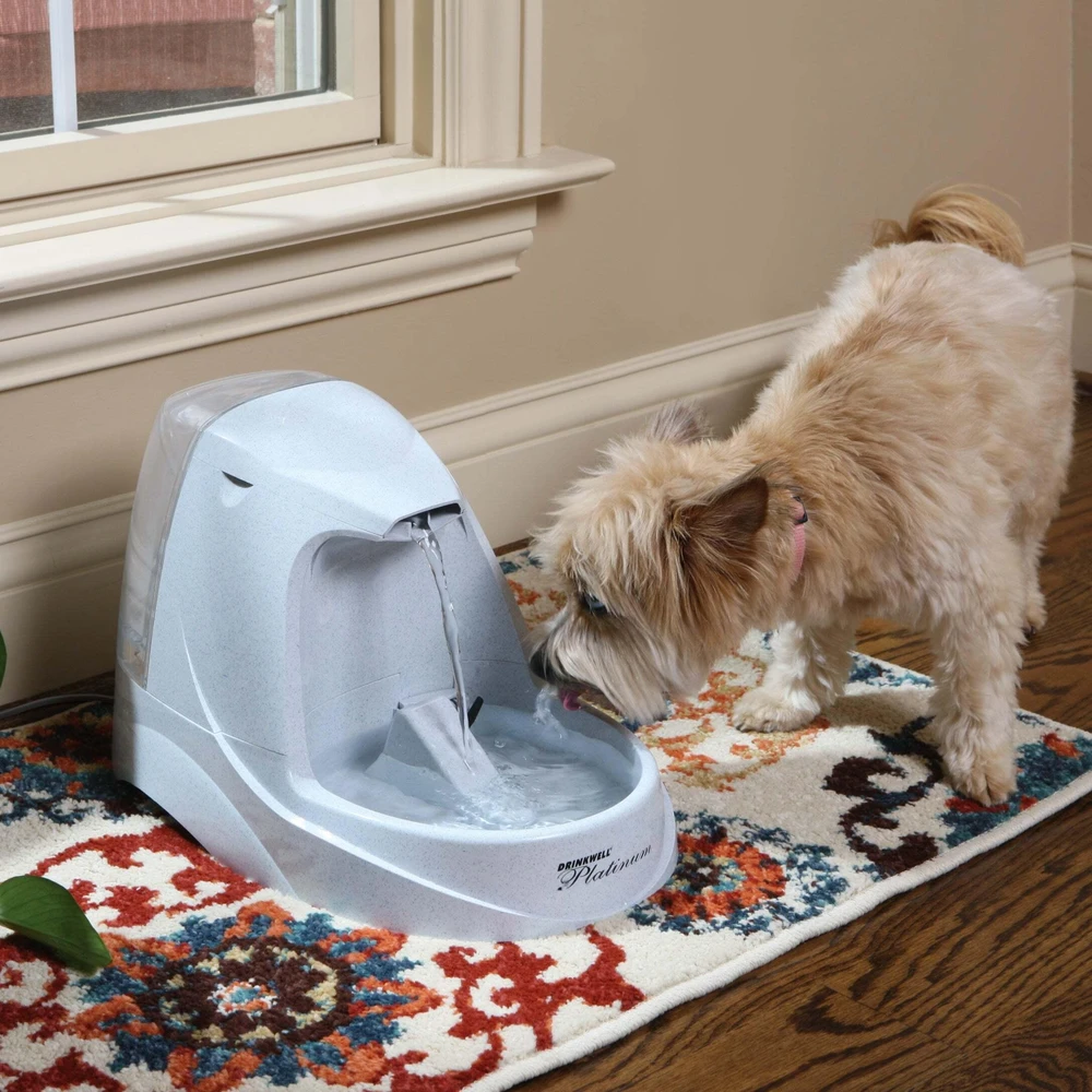 Petsafe Drinkwell Platinum 5L talpos girdykla – fontanas katėms ir šunims