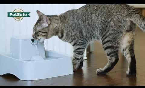 PetSafe Drinkwell vandens fontanėlis – vidutinės talpos, tylus srautas, lengvai valomas dizainas