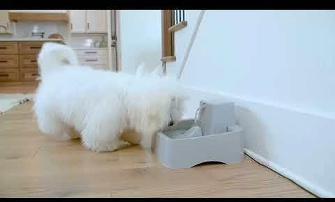 PetSafe Drinkwell vandens fontanėlis – vidutinės talpos, tylus srautas, lengvai valomas dizainas