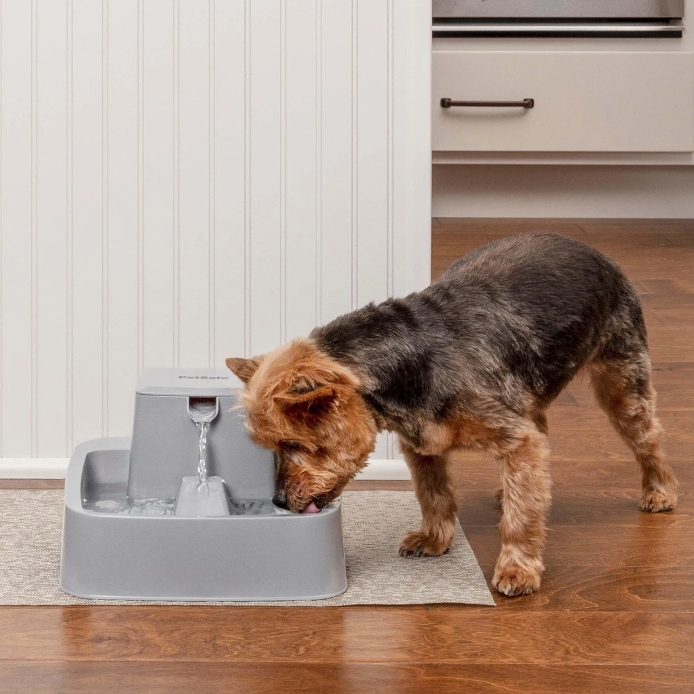 PetSafe Drinkwell vandens fontanėlis – vidutinės talpos, tylus srautas, lengvai valomas dizainas