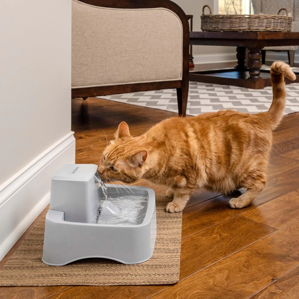 PetSafe Drinkwell vandens fontanėlis – vidutinės talpos, tylus srautas, lengvai valomas dizainas