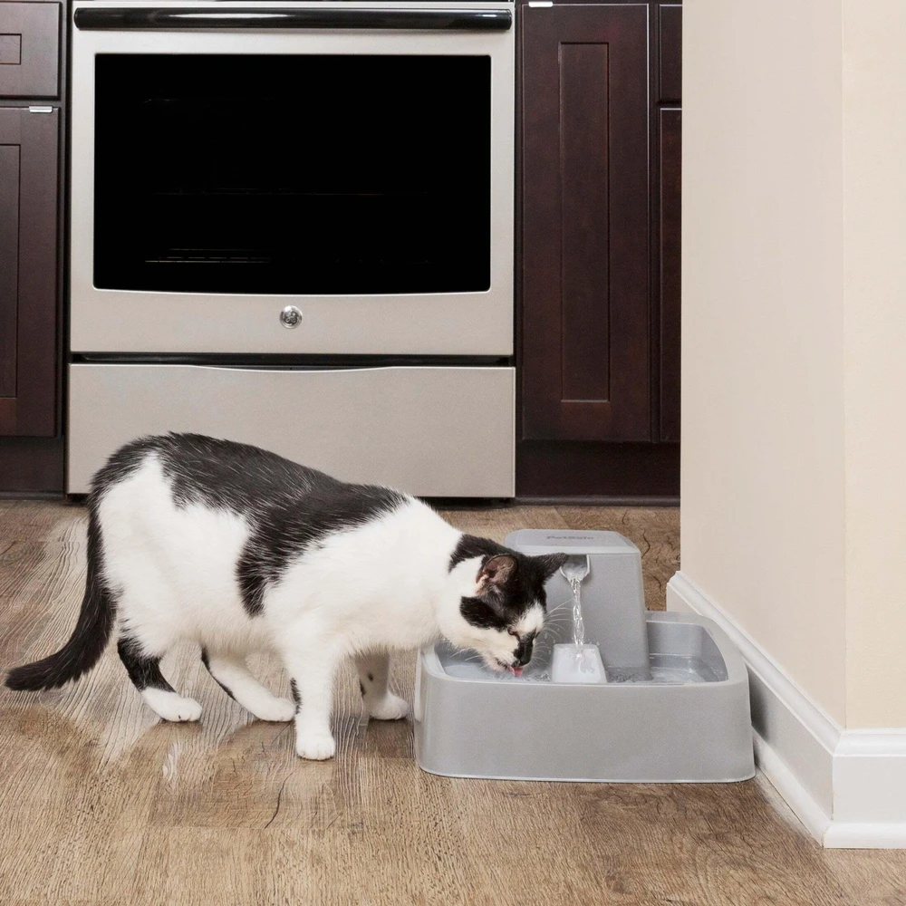 PetSafe Drinkwell vandens fontanėlis – vidutinės talpos, tylus srautas, lengvai valomas dizainas