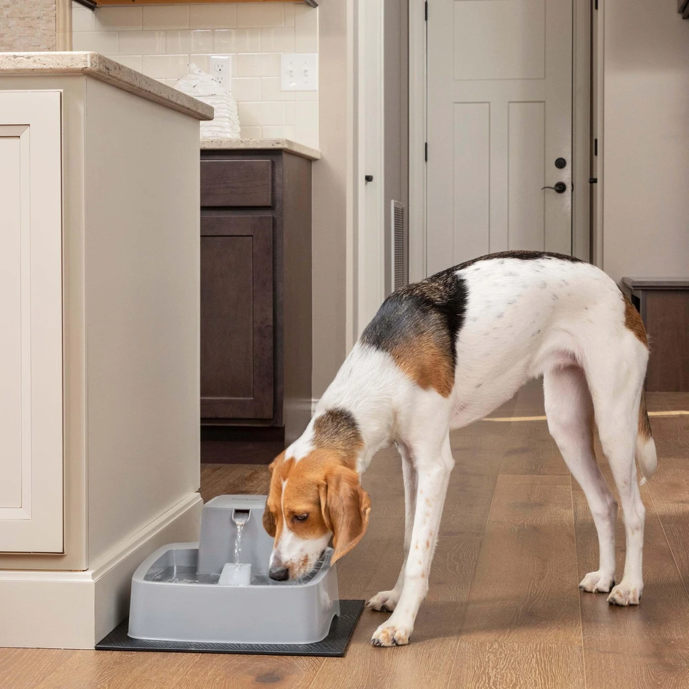 PetSafe Drinkwell vandens fontanėlis – vidutinės talpos, tylus srautas, lengvai valomas dizainas