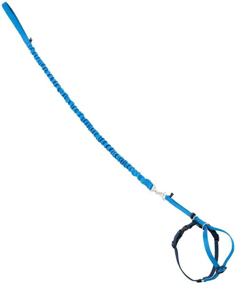 PetSafe Easy Walk katės diržas – Karališkai mėlynas bungee diržas ir pavadėlis, mažas dydis