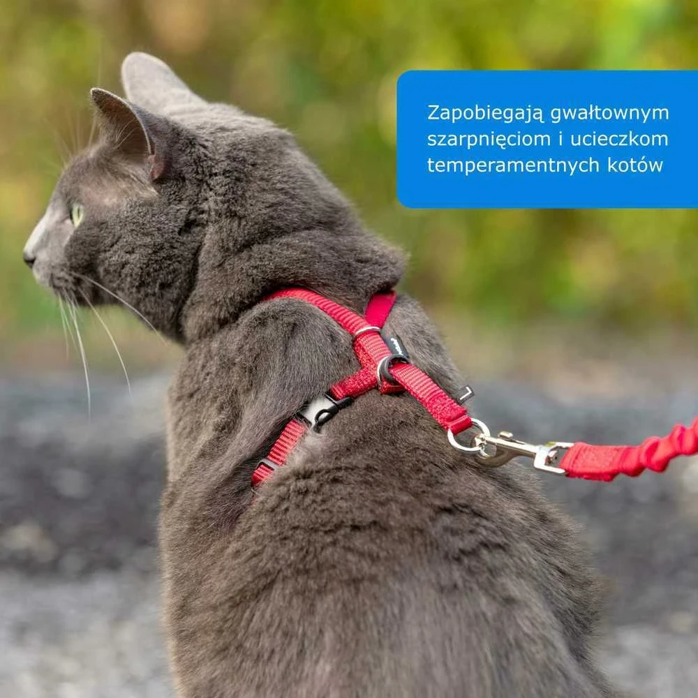 PetSafe Easy Walk katės diržas – Karališkai mėlynas bungee diržas ir pavadėlis, mažas dydis