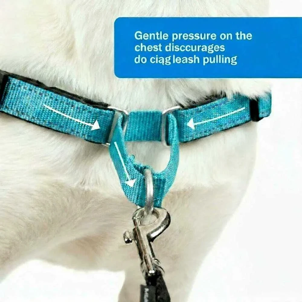 PetSafe Easy Walk Deluxe pavadėlis – švelnus juodas ir mėlynas šuns pavadėlis su pavadėliu, vidutinio dydžio