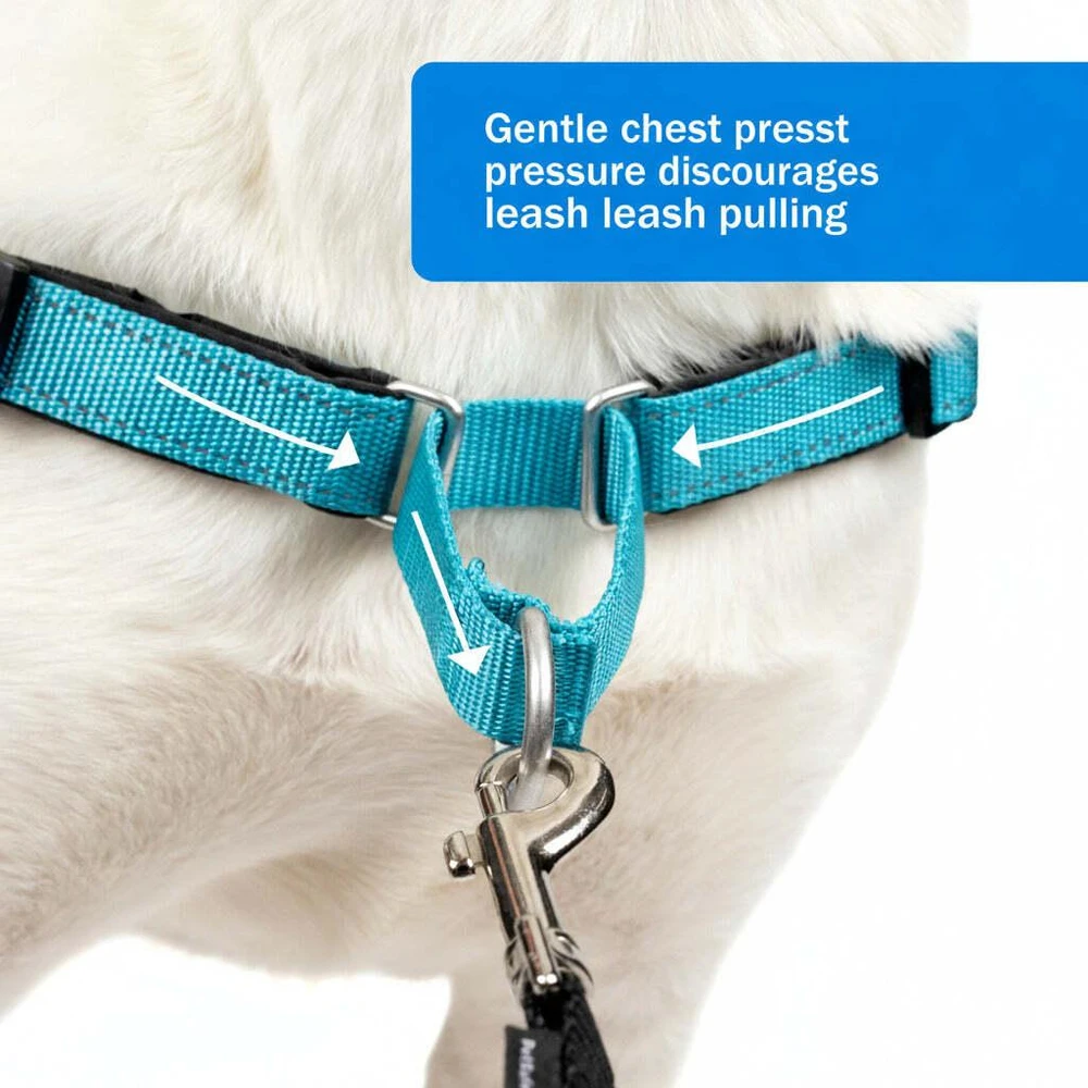 PetSafe Easy Walk Deluxe pavadėlis – švelnus juodas ir mėlynas šuns pavadėlis su pavadėliu, vidutinio dydžio