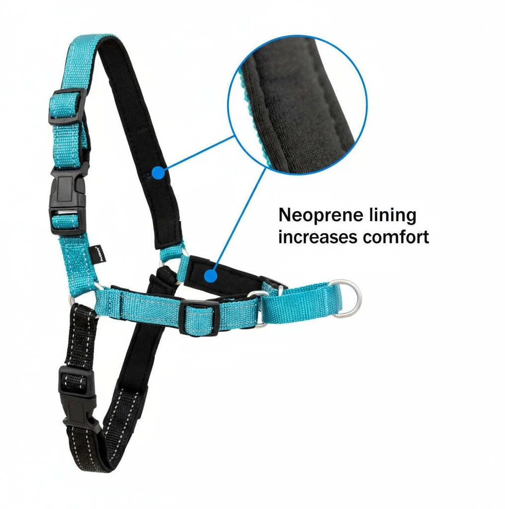 PetSafe Easy Walk Deluxe pavadėlis – švelnus juodas ir mėlynas šuns pavadėlis su pavadėliu, vidutinio dydžio