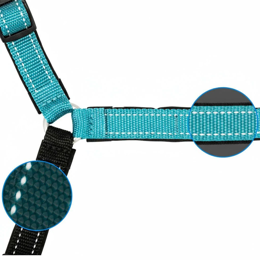 PetSafe Easy Walk Deluxe pavadėlis – švelnus juodas ir mėlynas šuns pavadėlis su pavadėliu, vidutinio dydžio