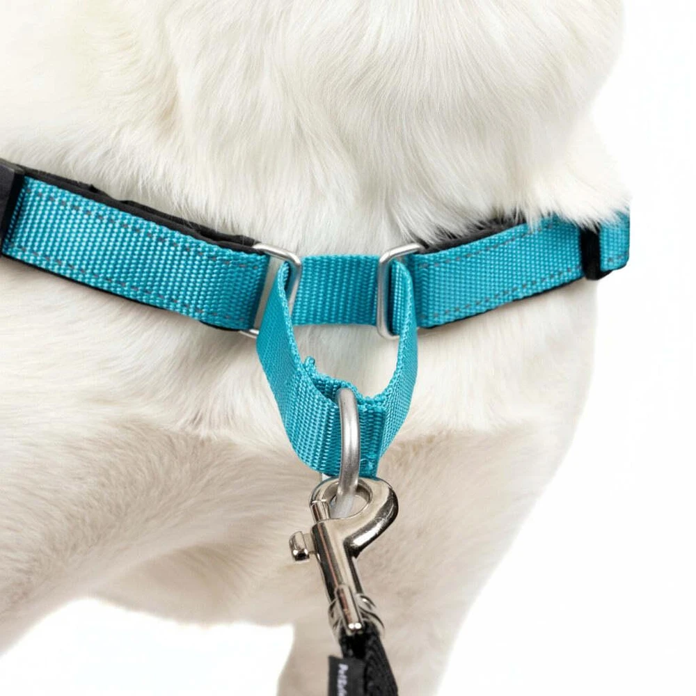 PetSafe Easy Walk Deluxe pavadėlis – švelnus juodas ir mėlynas šuns pavadėlis su pavadėliu, vidutinio dydžio