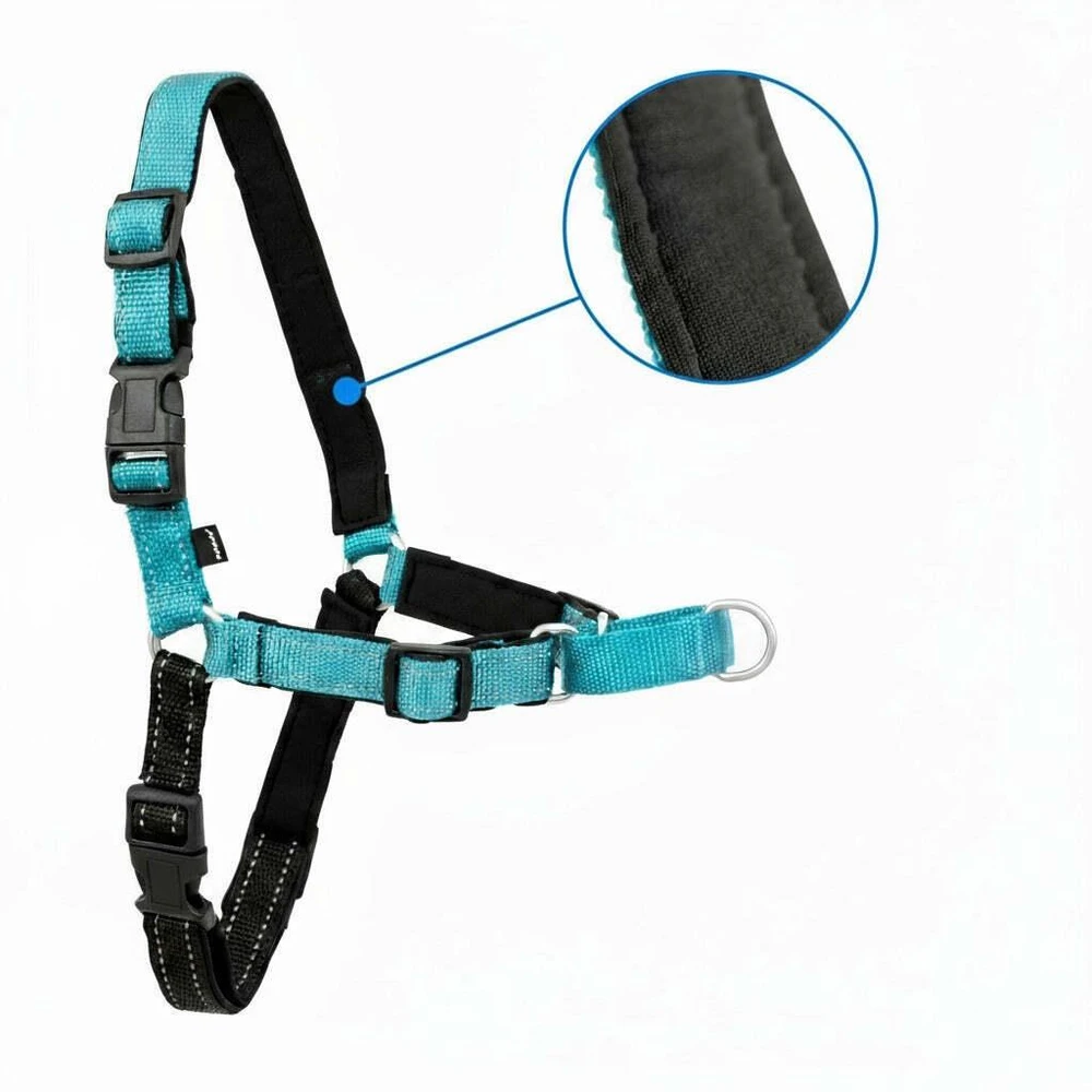 PetSafe Easy Walk Deluxe pavadėlis – švelnus juodas ir mėlynas šuns pavadėlis su pavadėliu, vidutinio dydžio