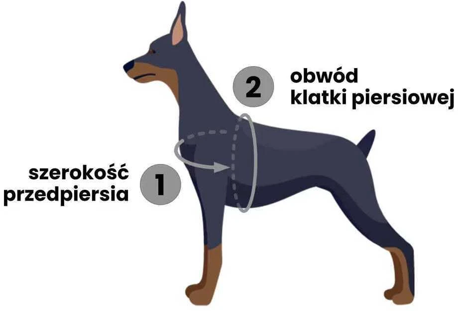 PetSafe Easy Walk pavadėlio ir diržų rinkinys – reguliuojamas juodas, mažas, patogus prigludimas