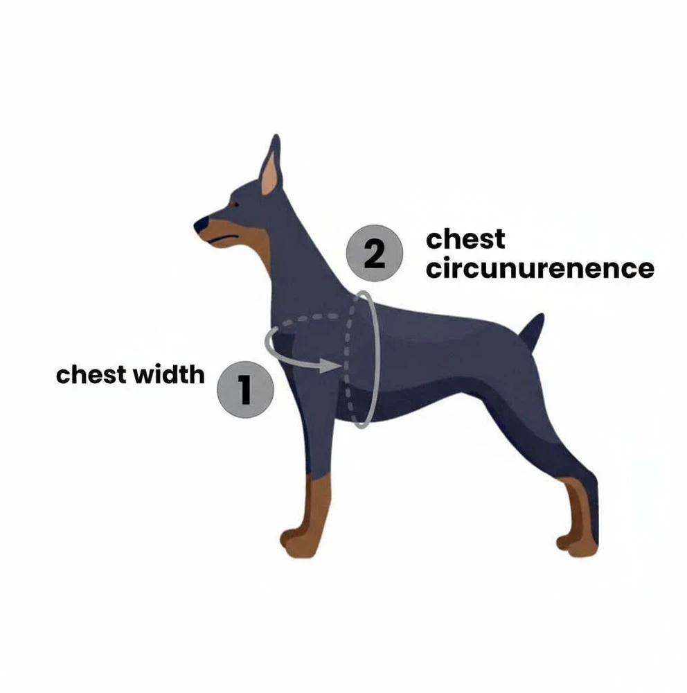 PetSafe Easy Walk dirželių ir pavadėlio komplektas – raudonas, XL, reguliuojamas, patogus dizainas